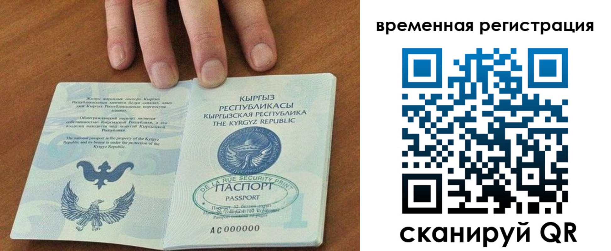 где прописаться в Электростали